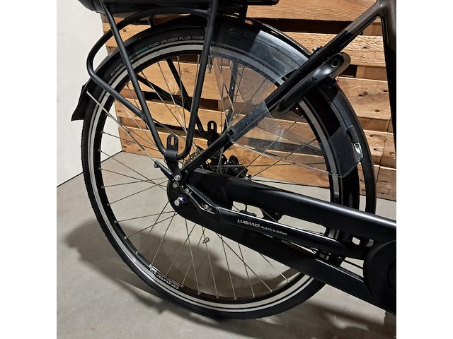 Elektrische fiets, lugano, elo tour - afbeelding 11 van  14