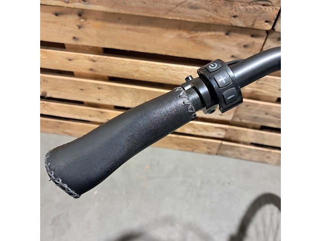 Elektrische fiets, lugano, elo tour - afbeelding 14 van  14