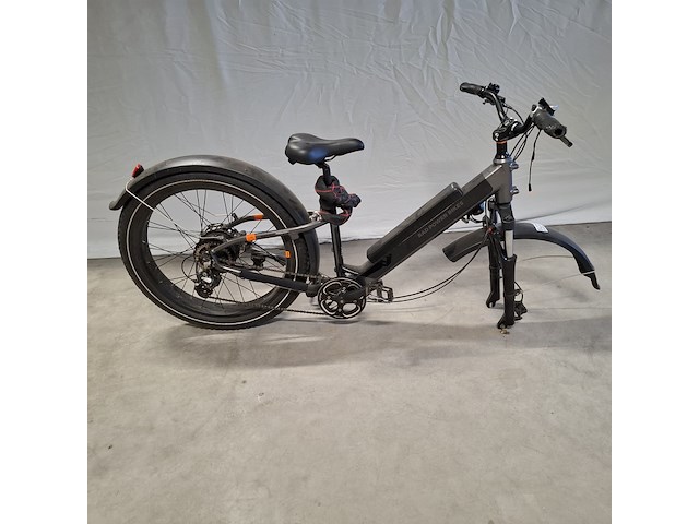 Elektrische fiets, rad power bikes, radrhino, zwart - afbeelding 1 van  4