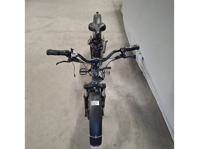 Elektrische fiets, rad power bikes, radrhino, zwart - afbeelding 4 van  4
