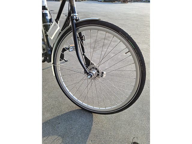 Elektrische fiets, roetz, vigour + road ladies - afbeelding 4 van  12