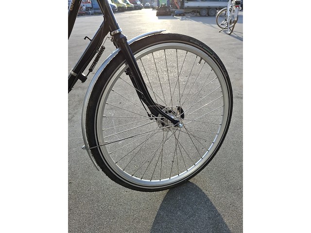 Elektrische fiets, roetz, vigour + road ladies - afbeelding 6 van  12