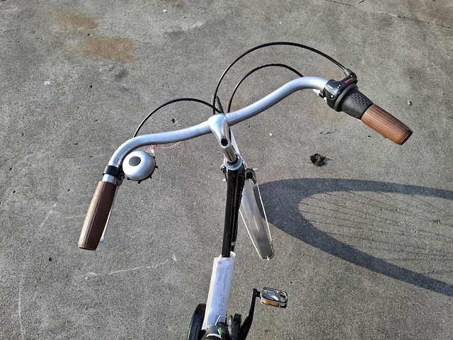 Elektrische fiets, roetz, vigour + road ladies - afbeelding 2 van  13