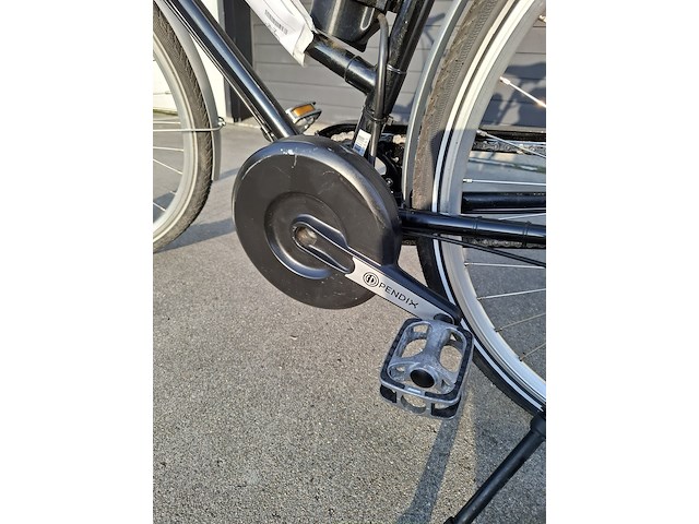 Elektrische fiets, roetz, vigour + road ladies - afbeelding 4 van  13