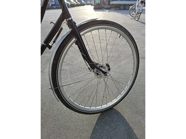 Elektrische fiets, roetz, vigour + road ladies - afbeelding 10 van  13