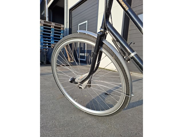 Elektrische fiets, roetz, vigour + road ladies - afbeelding 4 van  15