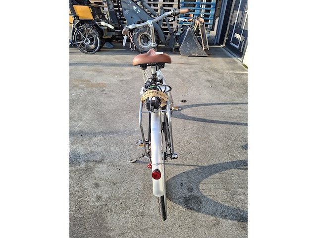 Elektrische fiets, roetz, vigour + road ladies - afbeelding 3 van  13