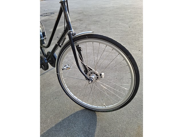 Elektrische fiets, roetz, vigour + road ladies - afbeelding 10 van  15