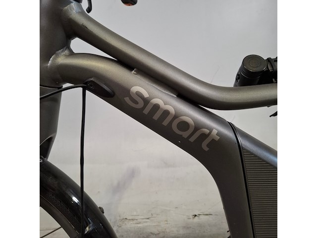 Elektrische fiets, smart - afbeelding 8 van  14