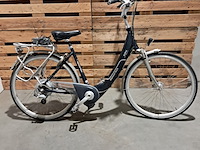 Elektrische fiets, sparta, ion, blauw - afbeelding 2 van  13