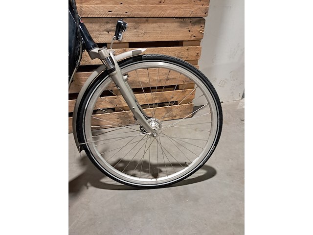 Elektrische fiets, sparta, ion, blauw - afbeelding 3 van  13