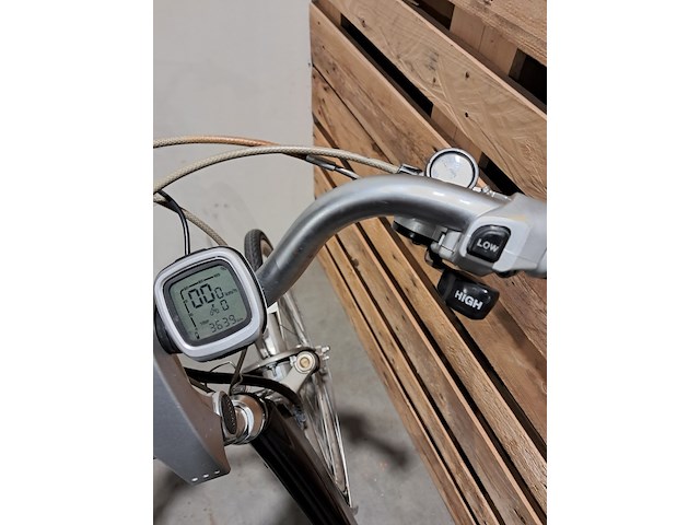 Elektrische fiets, sparta, ion, blauw - afbeelding 12 van  13