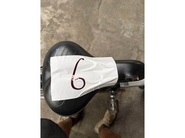 Elektrische fiets, sparta, ion dt - afbeelding 3 van  13