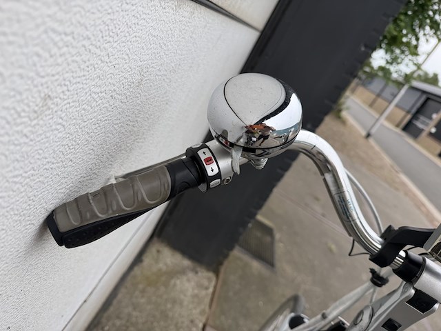 Elektrische fiets, sparta, ion gl - afbeelding 12 van  12