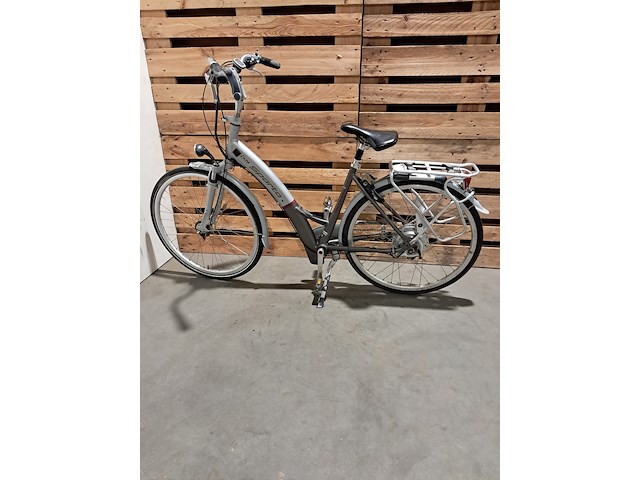 Elektrische fiets, sparta, ion, grijs / chroom - afbeelding 1 van  12