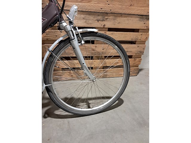 Elektrische fiets, sparta, ion, grijs / chroom - afbeelding 2 van  18