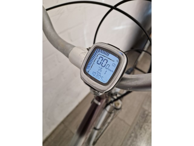 Elektrische fiets, sparta, ion, grijs / chroom - afbeelding 10 van  18