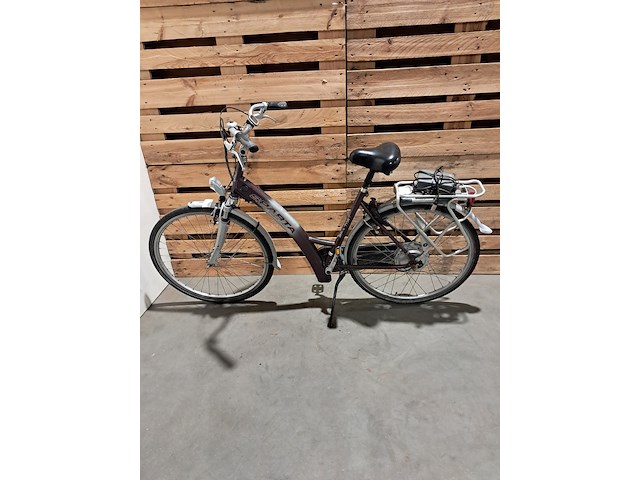 Elektrische fiets, sparta, ion, grijs / chroom - afbeelding 1 van  18