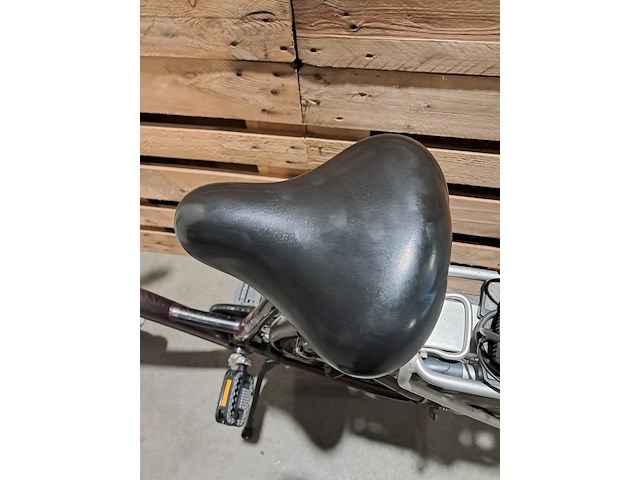 Elektrische fiets, sparta, ion, grijs / chroom - afbeelding 14 van  18