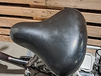 Elektrische fiets, sparta, ion, grijs / chroom - afbeelding 14 van  18