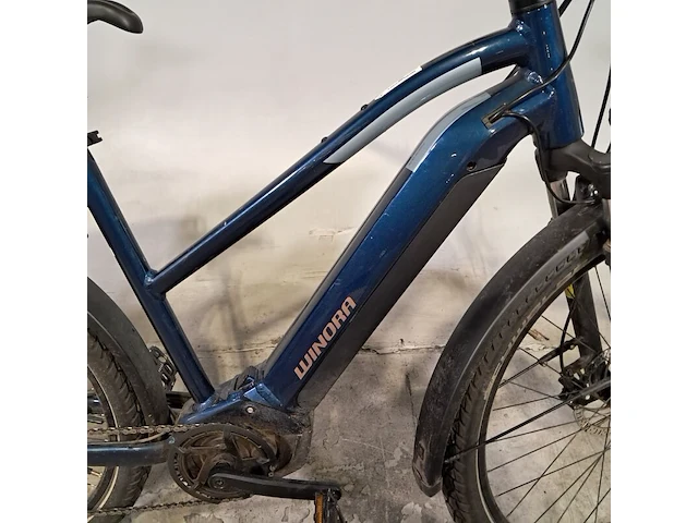 Elektrische fiets, winora, yucatan 8 - afbeelding 3 van  20