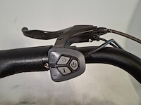 Elektrische herenfiets, amslod, hilston e-ld - afbeelding 6 van  14