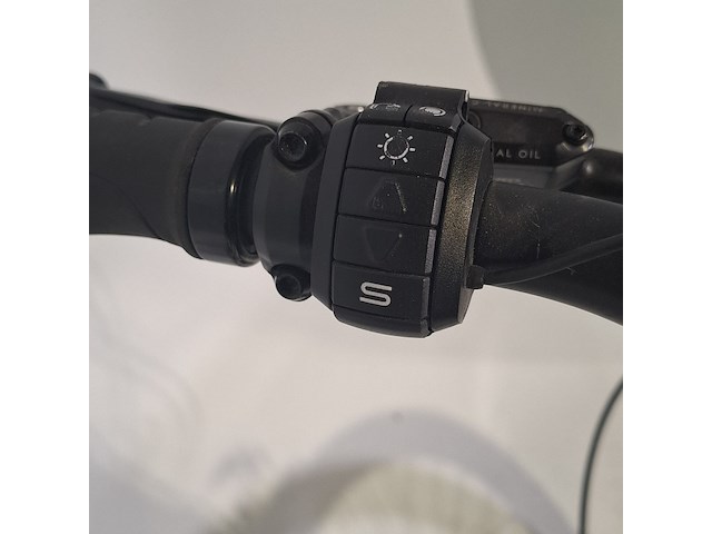 Elektrische herenfiets, besv, ps1 - afbeelding 3 van  16