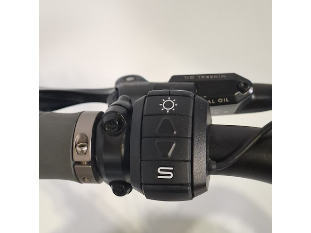 Elektrische herenfiets, besv, ps1 - afbeelding 15 van  15