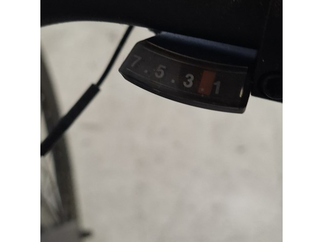 Elektrische herenfiets, bird - afbeelding 19 van  19