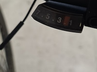 Elektrische herenfiets, bird - afbeelding 19 van  19