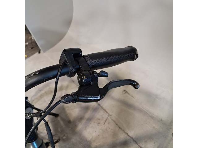 Elektrische herenfiets, extenso, pro ebke - afbeelding 5 van  16