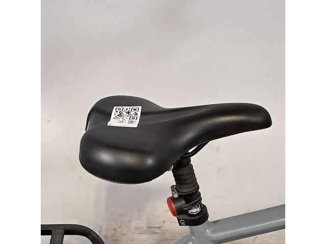 Elektrische herenfiets, forza, bologna - afbeelding 7 van  14