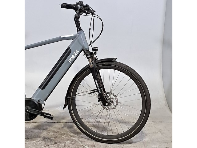 Elektrische herenfiets, forza, bologna - afbeelding 9 van  14
