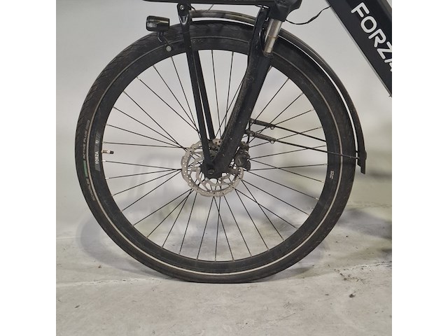 Elektrische herenfiets, forza, giulia cosmo - afbeelding 7 van  16