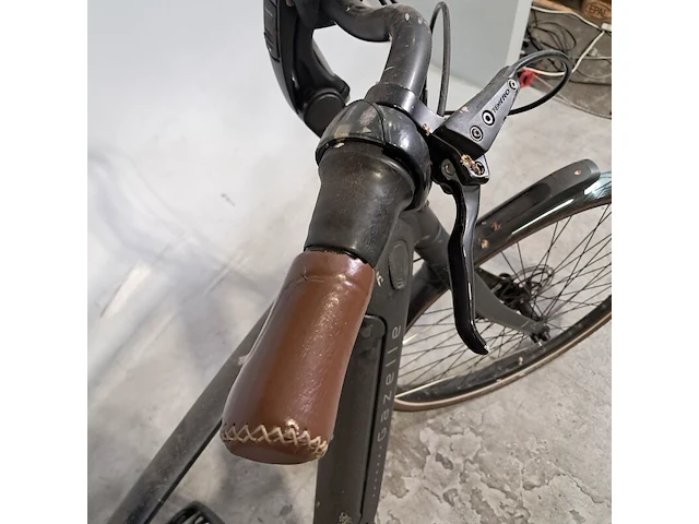 Elektrische herenfiets, gazelle, grenoble c8, 2022 - afbeelding 20 van  20