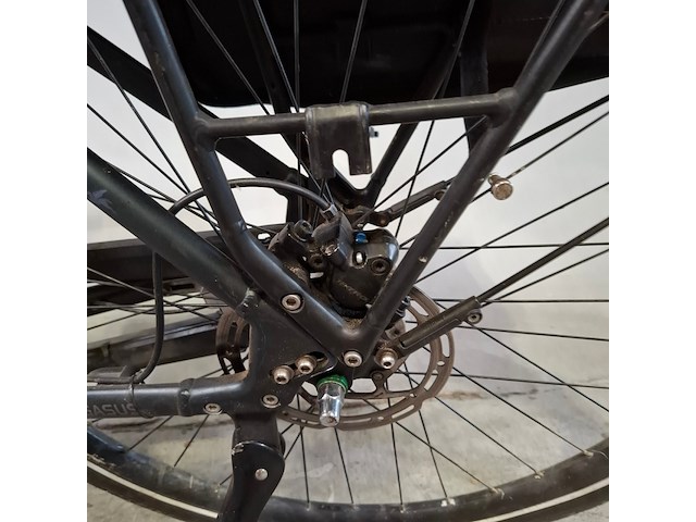Elektrische herenfiets, pegasus, siena - afbeelding 2 van  17