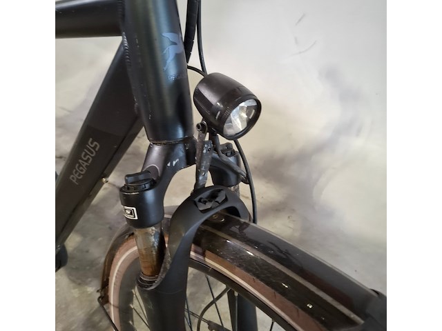Elektrische herenfiets, pegasus, siena - afbeelding 7 van  17