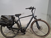 Elektrische herenfiets, pegasus, siena