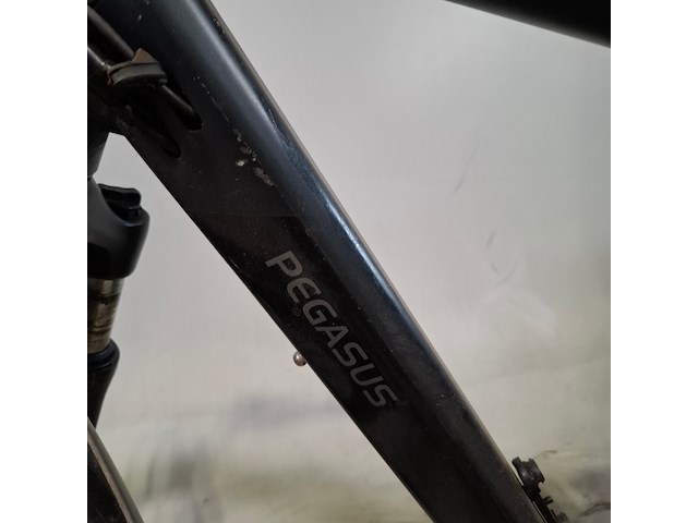 Elektrische herenfiets, pegasus, siena - afbeelding 11 van  17