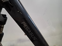 Elektrische herenfiets, pegasus, siena - afbeelding 11 van  17