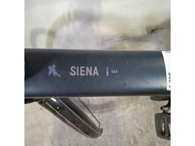 Elektrische herenfiets, pegasus, siena - afbeelding 12 van  17