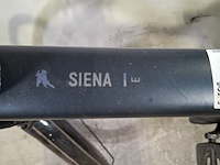 Elektrische herenfiets, pegasus, siena - afbeelding 12 van  17