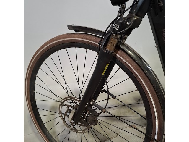 Elektrische herenfiets, pegasus, siena - afbeelding 13 van  17