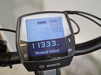 Elektrische herenfiets, pegasus, siena - afbeelding 14 van  17