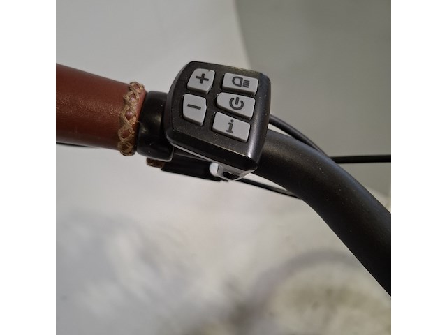 Elektrische herenfiets, qwic, trend - afbeelding 2 van  18