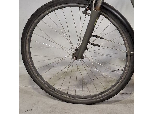 Elektrische herenfiets, qwic, trend - afbeelding 9 van  18