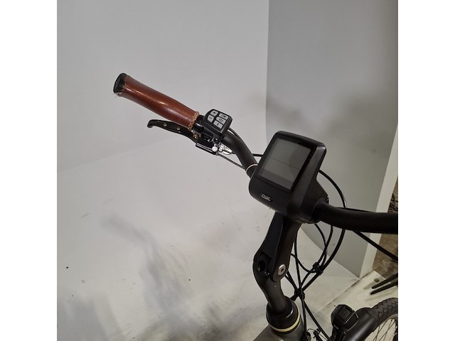 Elektrische herenfiets, qwic, trend - afbeelding 16 van  18