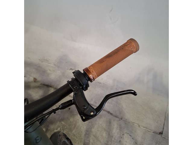 Elektrische herenfiets, riese&muller, ubn - afbeelding 3 van  16