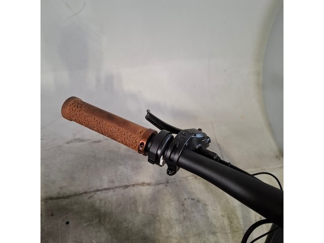 Elektrische herenfiets, riese&muller, ubn - afbeelding 6 van  16