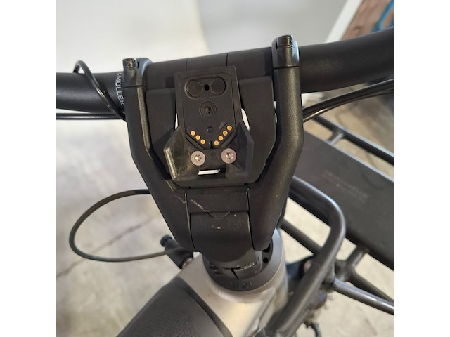 Elektrische herenfiets, riese&muller - afbeelding 4 van  17